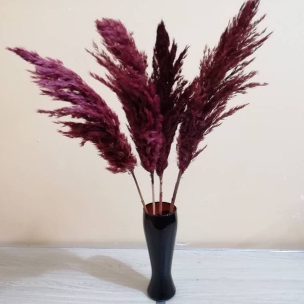 PAMPAS GRASS Burgundy, Bordeaux Colored, Price for one Flower, Dry Reeds, Dried Flowers, Wedding Decor, Tall Vase, Centerpieces