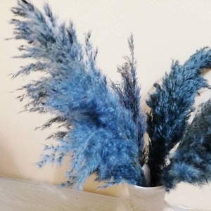 PAMPAS GRASS Blue, Navy-Blue Colored, Blue Flowers, Dry Reeds, Dried Flowers, Dried Pampas Grass, Wedding Decor, Tall Vase, Centerpieces image 8