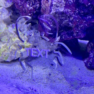 personalized fish tank decorations