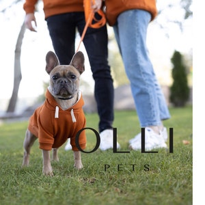May include: A rust-colored dog hoodie with a white drawstring hood, worn by a French Bulldog. The hoodie features a solid fabric construction with ribbed cuffs and hem. The text OLLI PETS is visible in black lettering at the bottom of the image.