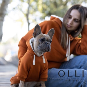 May include: A French Bulldog wearing a rust-orange hooded sweatshirt with a white inner lining and white drawstrings. The hoodie features ribbed cuffs and a matching rust-orange fabric. The text OLLI PETS is visible in the lower right corner.