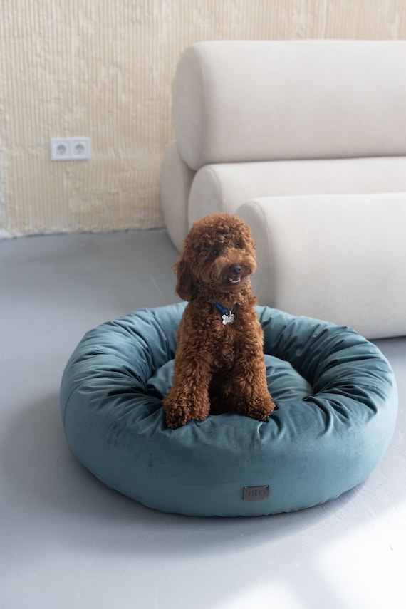 Puppy Bed and Small Dog Perch Circle Pet Stuffed Furniture Aesthetic Gift for Pet Etsy