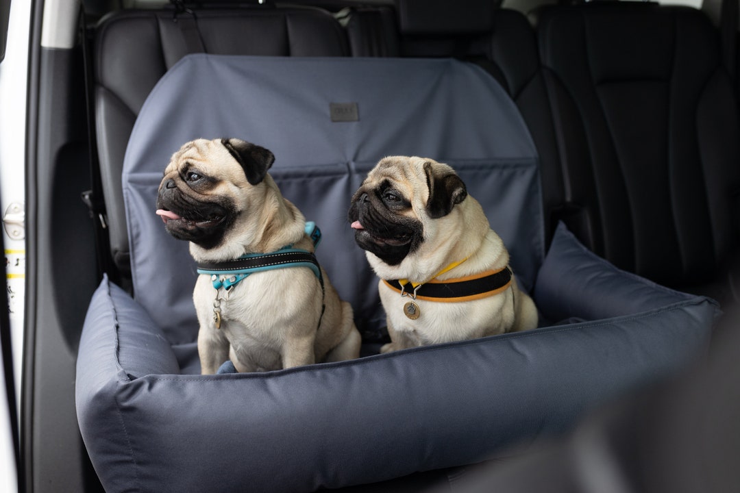 Eco Leather Large Dog Car Seat, Travel Puppy Car Bed, 2 Small Pet Car