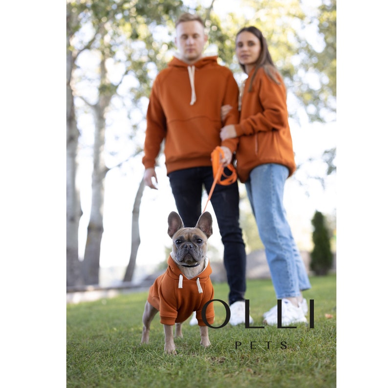 May include: A rust-colored dog hoodie with a white drawstring hood, worn by a French Bulldog. The hoodie features a solid fabric construction with ribbed cuffs and hem. The text OLLI PETS is visible in black lettering at the bottom of the image.