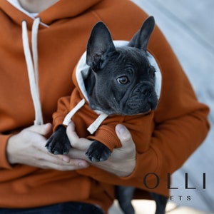 May include: A dark gray French Bulldog puppy wearing a matching burnt orange hoodie with a white inner hood lining and white drawstrings. The hoodie features ribbed cuffs and a hood that frames the puppy's face. The text OLLI PETS is visible.