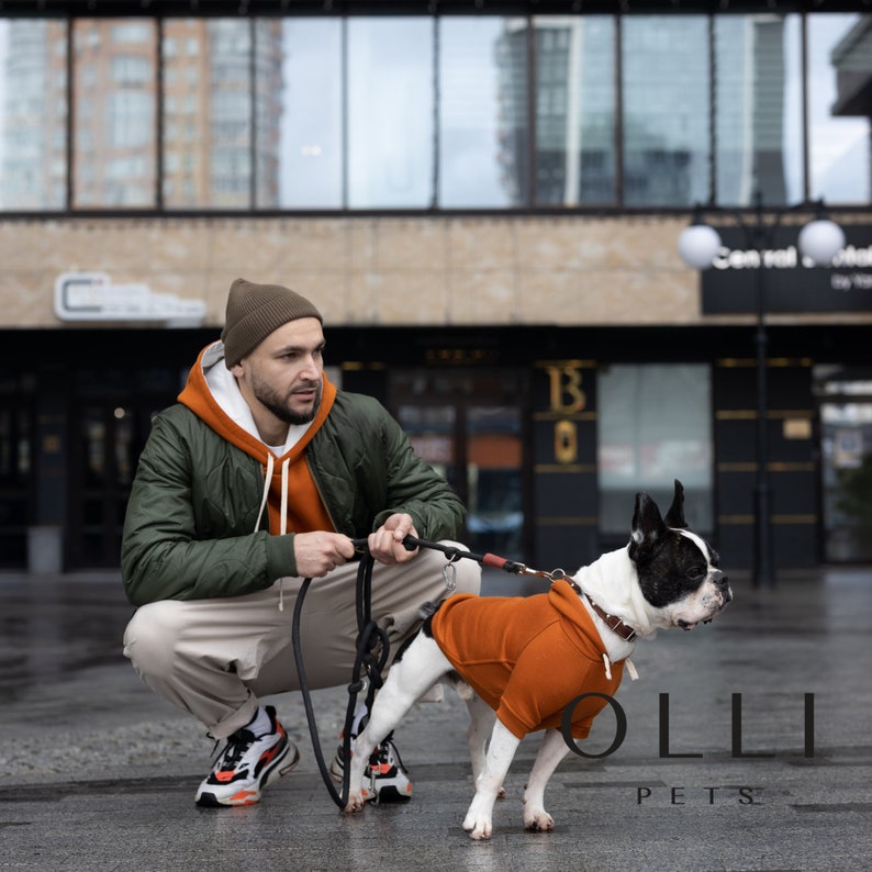 May include: A French Bulldog wearing a burnt orange hooded sweatshirt with a brown leather collar and a black leash, standing next to a person in a matching burnt orange hoodie and olive green quilted jacket, with OLLI PETS text visible.