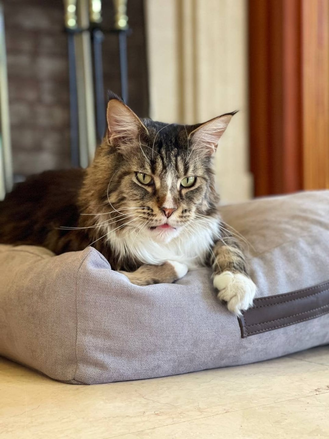 Washable Cat Bed Pillow Color Choice Etsy