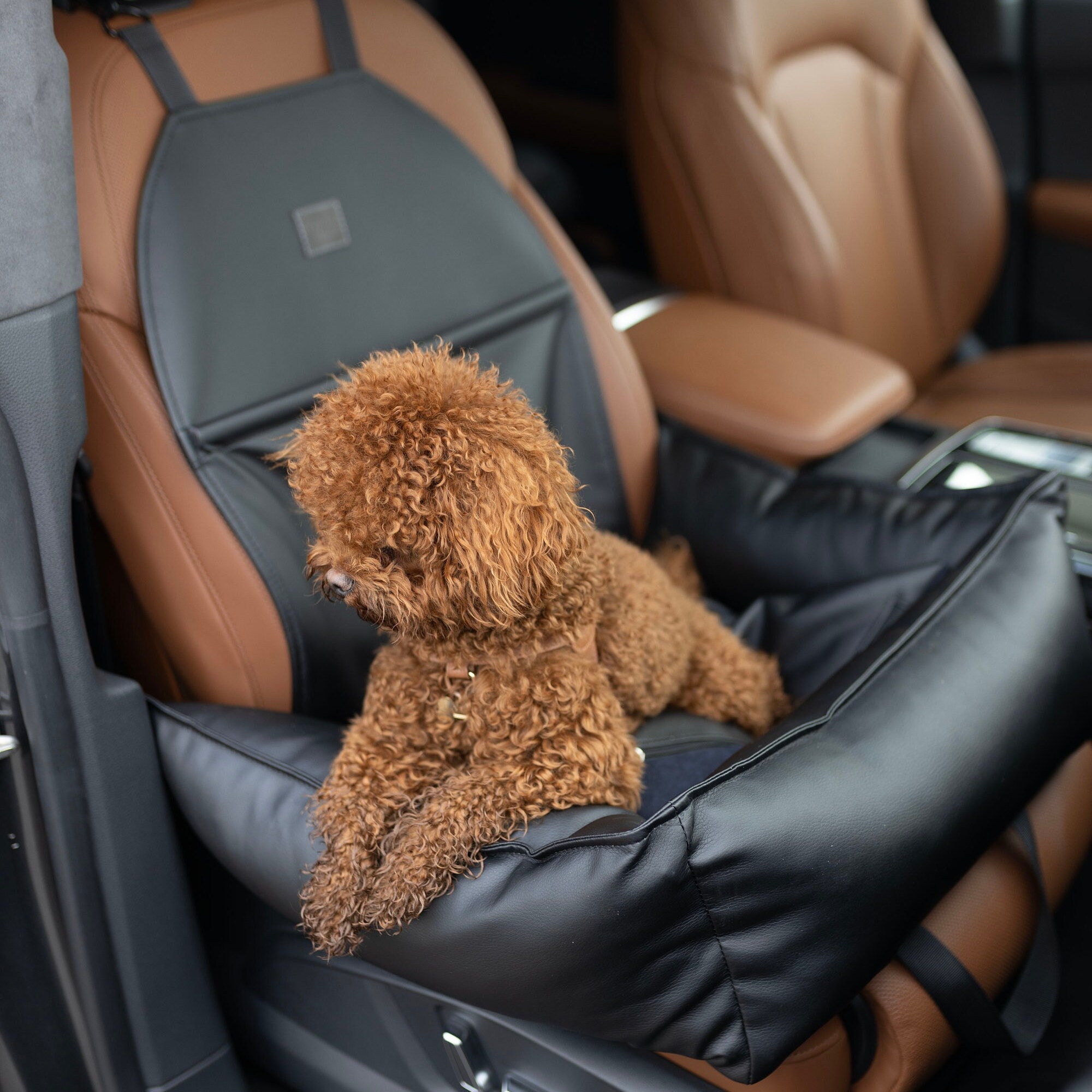 Go Rilla® Autositzbezug Für Hunde – Wasserdichte Decke, Rutschfest, Mit Sicherheitsgurt, Für SUV, Kombi & Limousine