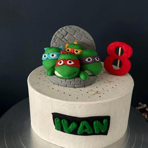 Grüne Schildkröten-Kuchenfigur | Handgefertigte essbare Fondant-Geburtstagsdekoration | Individueller Name und Alter möglich.