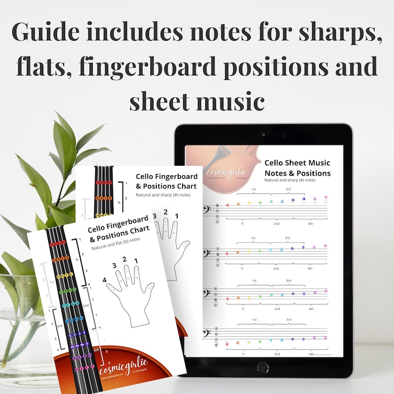 Cello Fingers, Notes, and Positions Guide | Cello Fingerboard Notes ...