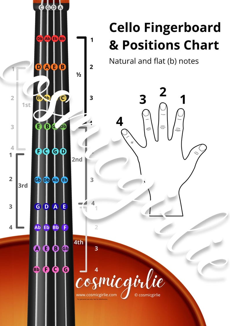 Cello Fingers, Notes, and Positions Guide | Cello Fingerboard Notes ...