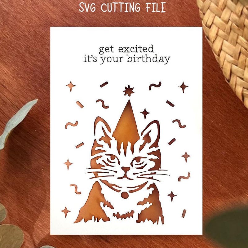Funny Cat Birthday Cards Etsy
