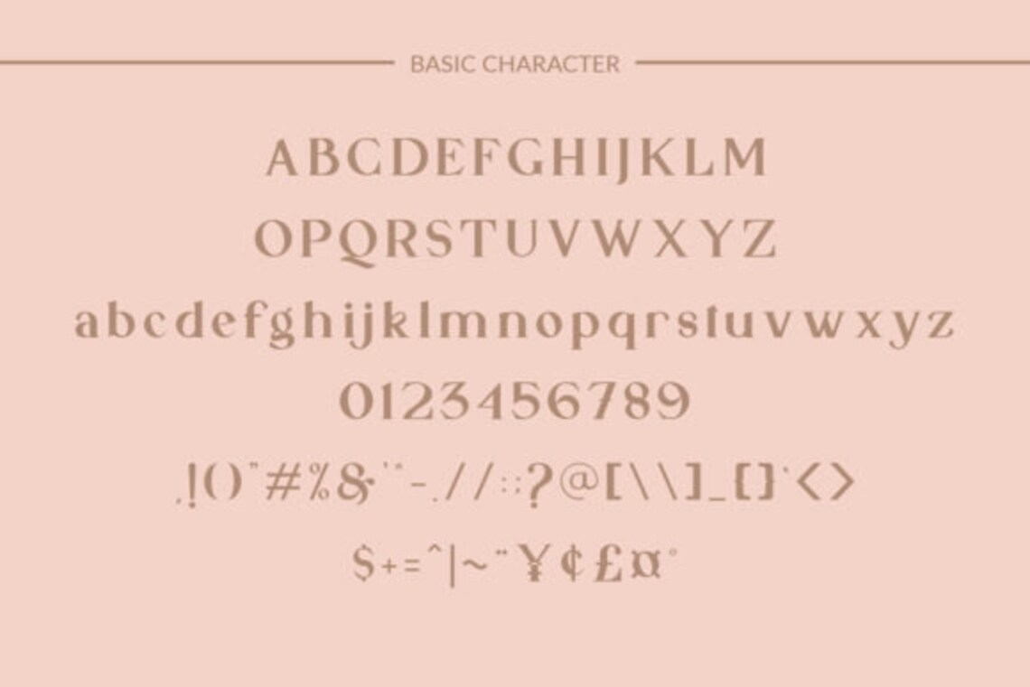 Unique Bold And Elegant Serif Font | Etsy