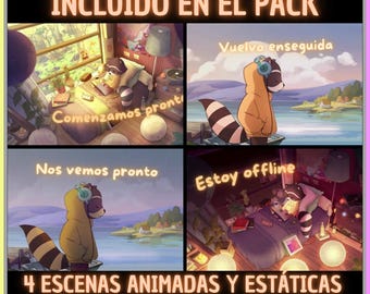 Pack 4 Animated Screens in Spanish, Racoon Bed. Twitch Screens. Live Streaming Screen. Streaming Overlay. Superposition