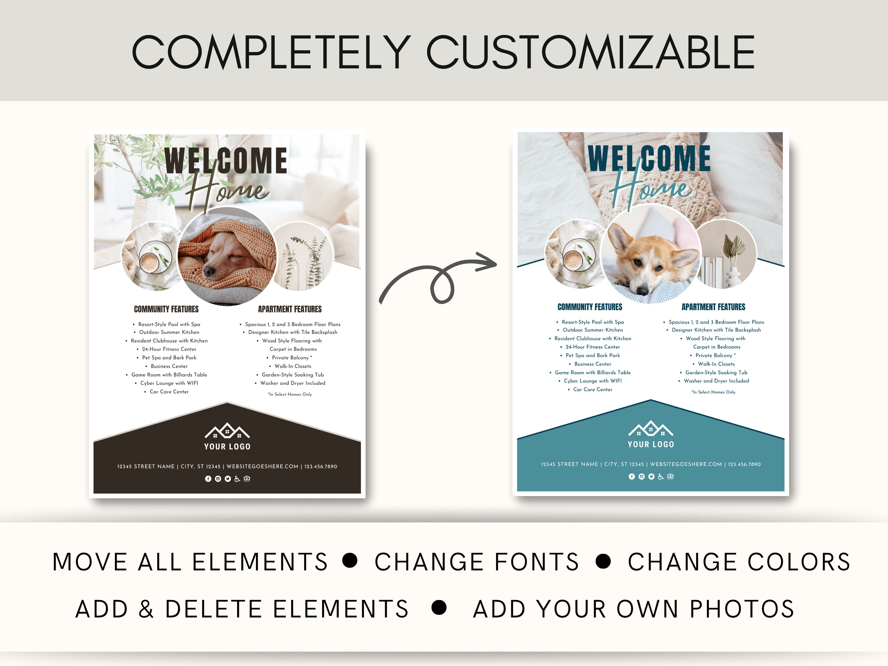 Apartment Leasing Flyer Template: Editable Floor Plans (canva) - Etsy