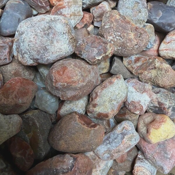 Lake Superior Agates Rough Huge Lot 15lbs