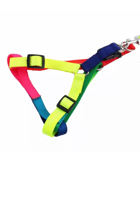 Rainbow Ombre Neon Bright Colors Dog Cat Harness Leash Set Puppy Sweet Walking Animal Etsy