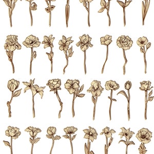 May include: A collection of 40 hand-drawn illustrations of various flowers, including roses, lilies, tulips, and daisies. The illustrations are in black and white and have a vintage style.