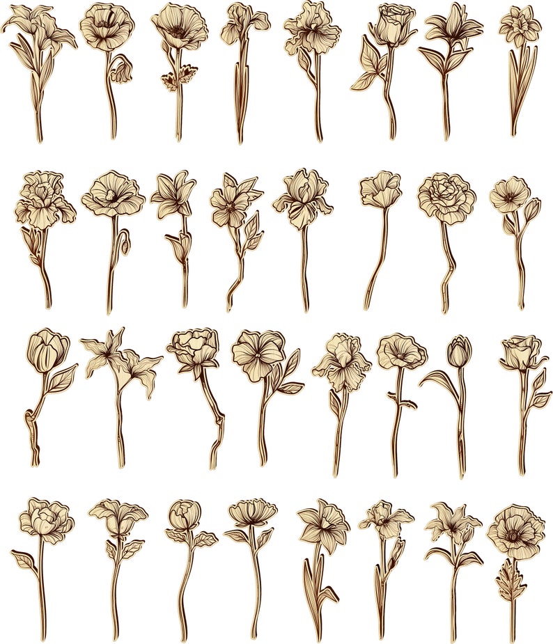 May include: A collection of 40 hand-drawn illustrations of various flowers, including roses, lilies, tulips, and daisies. The illustrations are in black and white and have a vintage style.