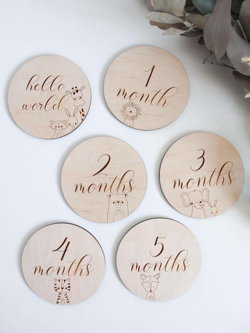 Safari Baby Milestone Cards SVG – Jungle Animal Monthly Newborn Photo ...