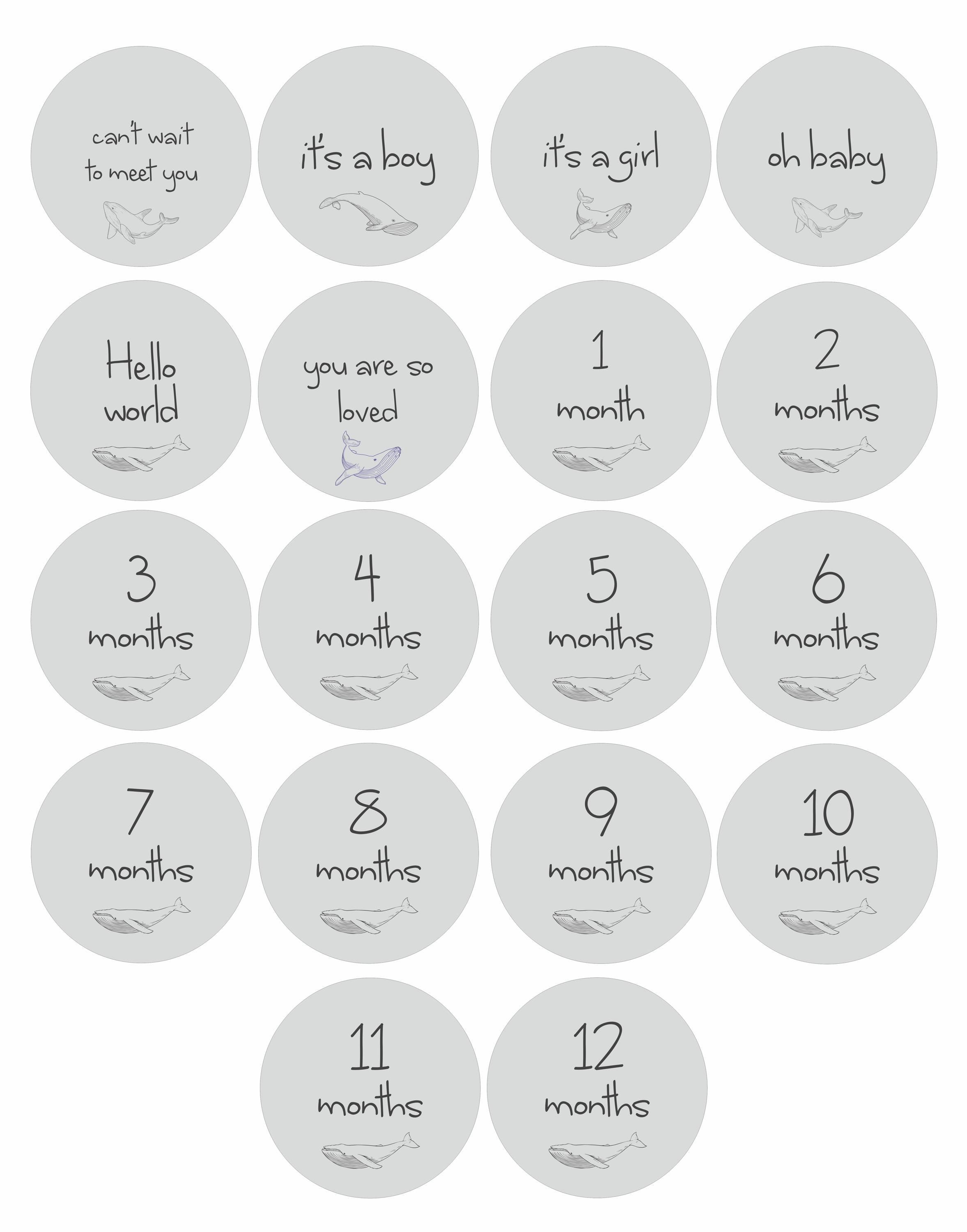 Whale Baby Milestone Cards SVG | Laser Cut File for Glowforge, Cricut ...