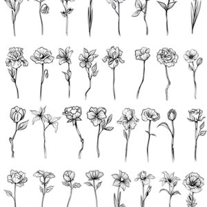 May include: A collection of 40 black and white line drawings of various flowers. The flowers are drawn in a simple, elegant style and are perfect for use in crafting, scrapbooking, or other creative projects.