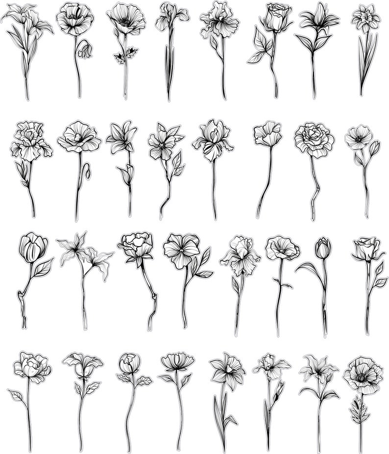May include: A collection of 40 black and white line drawings of various flowers. The flowers are drawn in a simple, elegant style and are perfect for use in crafting, scrapbooking, or other creative projects.