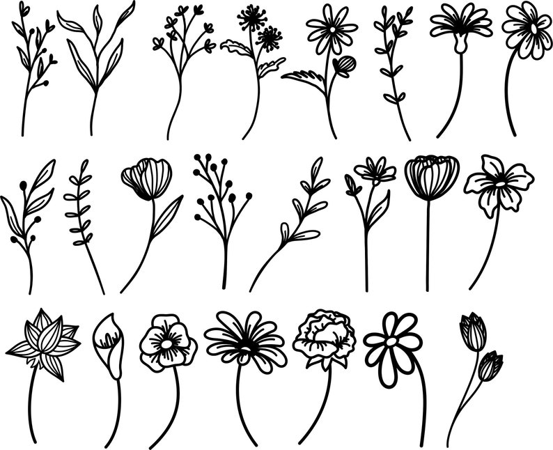 May include: A set of 20 black and white line drawings of various flowers and plants. The drawings are simple and elegant, and would be perfect for use in a variety of creative projects.