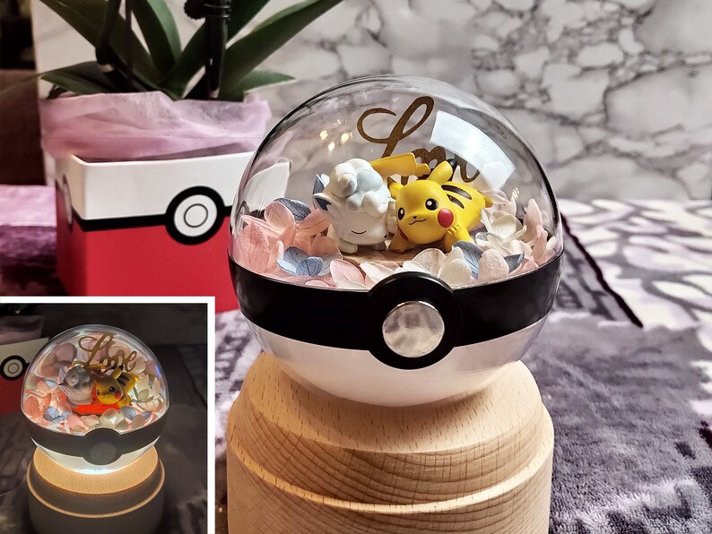 Pikachu sleepy Vulpix Alola terrarium de pokeball de fleurs préservées avec support de lumière LED USB Anniversaire Cadeau de la Saint-Valentin image 3