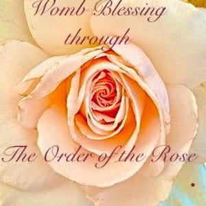 Op de afbeelding: Een close-up van een lichtroze roos met een gele kern. De roos is scherp, de achtergrond is wazig. De tekst "Womb Blessing through The Order of the Rose" is in cursief schrift boven de roos geschreven.