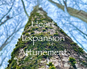 Heart Chakra Light Language Activation Light Language Transmission