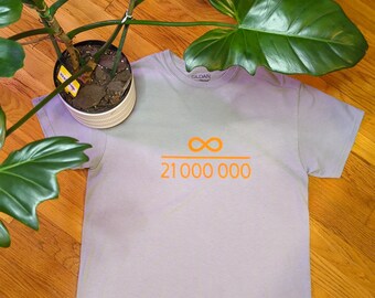 Everything Divided by 21,000,000 Graphic Gray Gildan DryBlend Tshirt Medium