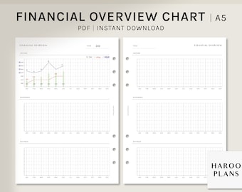 Financial Overview Chart | A5 Printable Planner Inserts | Yearly Budget Organizer Template | Money Tracker Sheet PDF | Digital Download