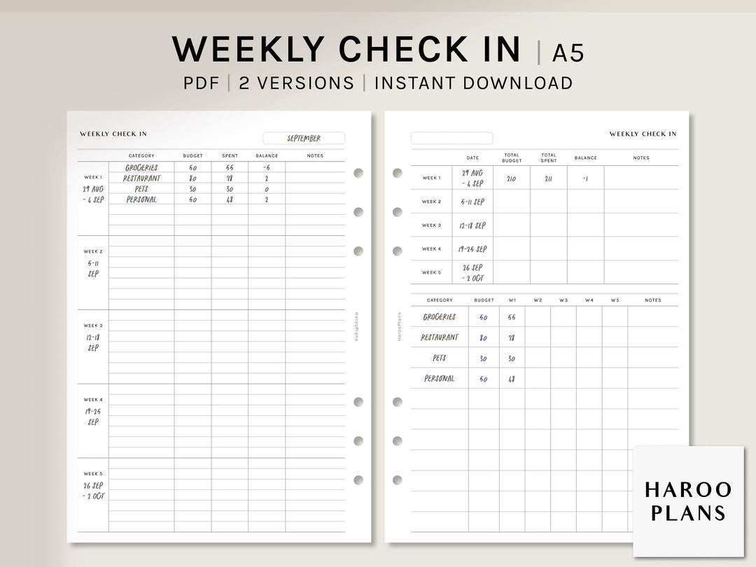 Weekly Budget Checkin A5 Printable Planner Inserts Financial Overview
