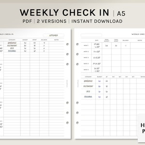 Weekly Budget Check-In | A5 Printable Planner Inserts | Financial Overview Template | Simple Spending Tracker Sheet PDF | Digital Download