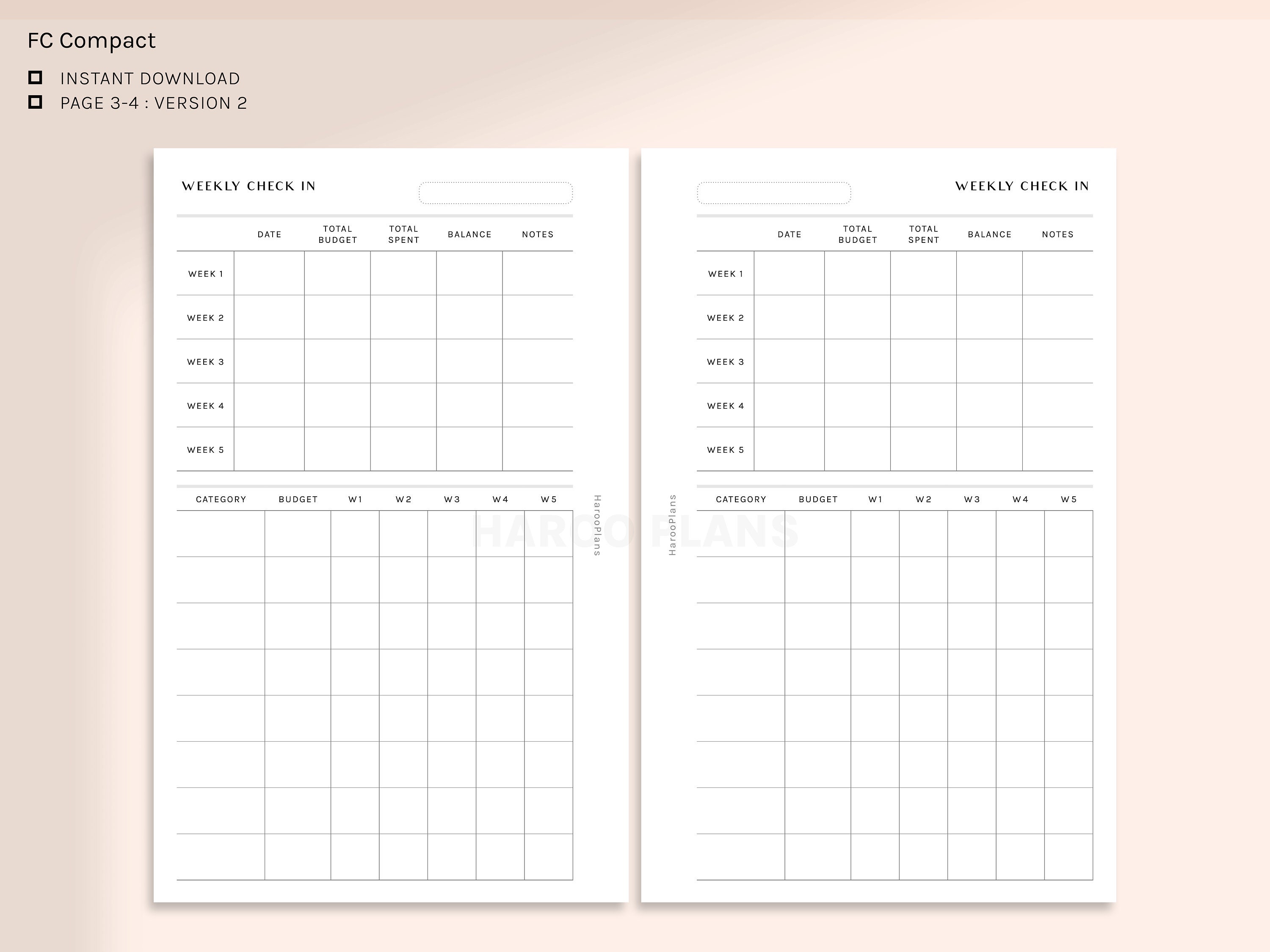 Weekly Budget Check-in | FC Compact Printable Planner Inserts ...