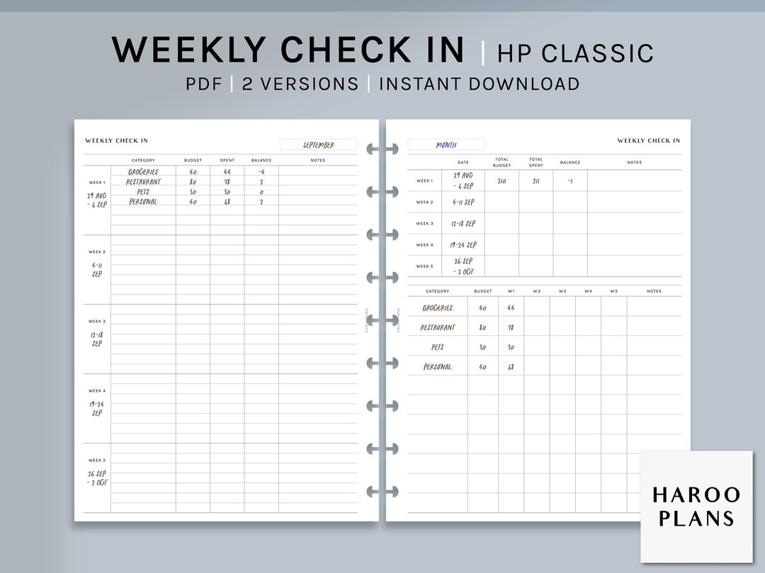 Weekly Balance Check Planner Weekly Budget Check-in | HP Classic Printable Happy Planner Inserts ...