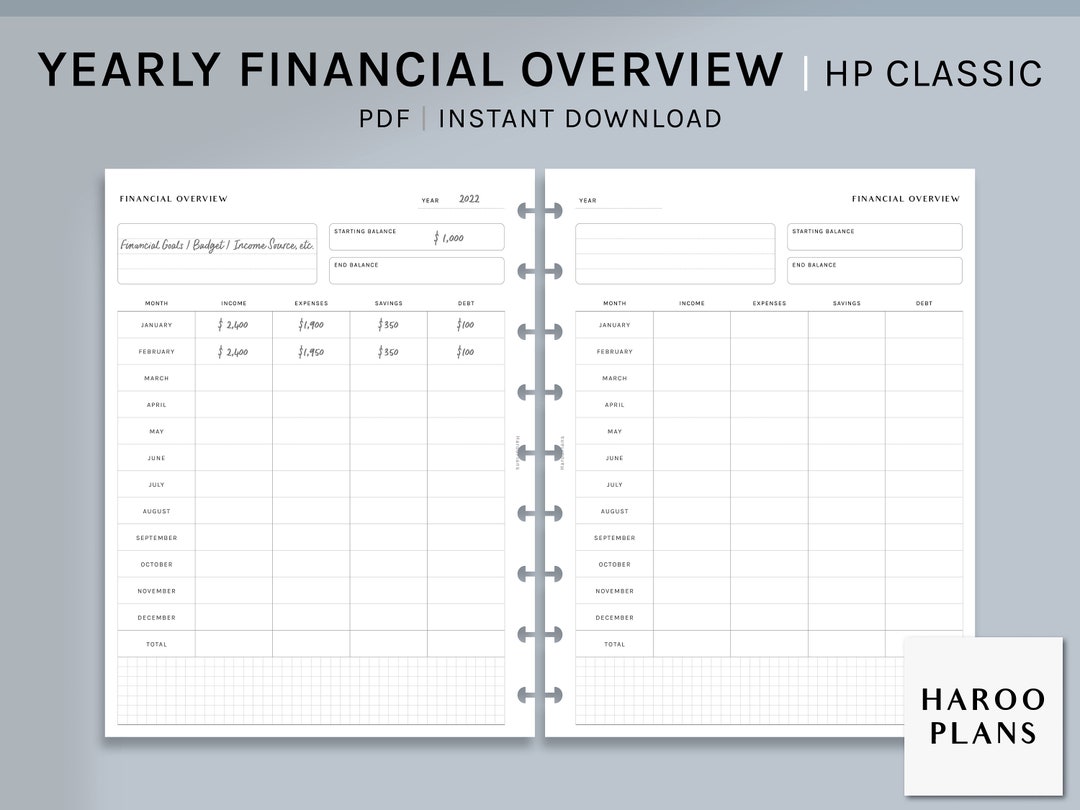 Yearly Financial Overview | HP Classic Printable Happy Planner Inserts ...