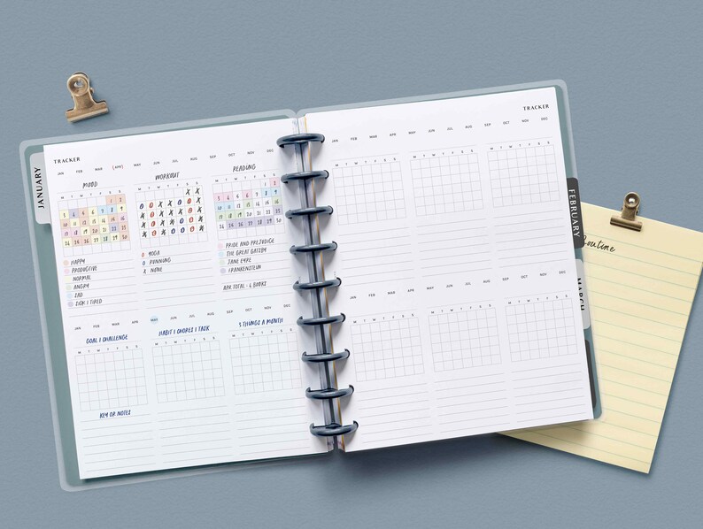 May include: A monthly planner with a January and February tab. The planner has sections for mood, important, planning, and a daily tracker. The planner is open to show the January pages.