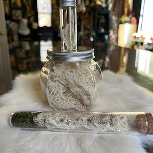 May include: Three glass containers holding snake shed. One small vial sits atop a larger jar, both containing shed. A long tube with a cork stopper holds more shed and green moss. The items are displayed on a white, fluffy surface.