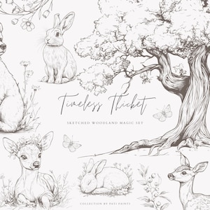 Tijdloos struikgewas Clipart Set - kwekerij Woodland - Sketch Clipart - Forest Animal Clipart - digitale download - antieke stijl grafiet - konijn