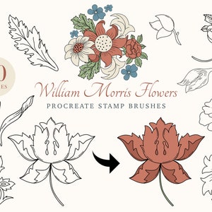 William Morris Procreate Stamp Brushes - Morris Flower PNG - Procreate Flower Stamp - Floral Clipart - Wedding Invitation - Brushes Set #S48