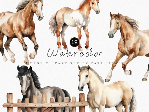 Watercolor Horse Clipart Bundle - Farm Animal Clipart - Nursery Wall Art - Horse PNG - Ranch Wester Clipart for Baby Shower - Farm Clipart