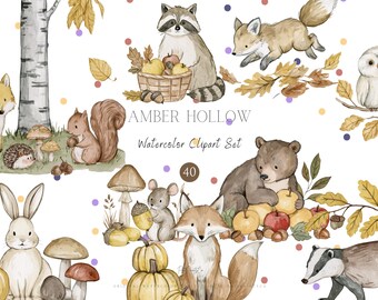 May include: A digital watercolor clipart set titled AMBER HOLLOW featuring woodland animals including a raccoon, fox, owl, squirrel, hedgehog, bear, mouse, rabbit, and badger, alongside autumn elements like pumpkins, mushrooms, and oak leaves.