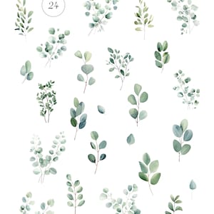 May include: A set of 24 watercolor eucalyptus clipart images. The images feature various shades of green and are perfect for adding a touch of nature to your designs.