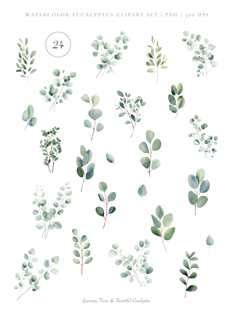 May include: A set of 24 watercolor eucalyptus clipart images. The images feature various shades of green and are perfect for adding a touch of nature to your designs.