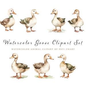 Watercolor Goosebumps Clipart - Nursery Animal Clipart Set - Pre-made Clipart - Goose Animal Clipart - Watercolor Animal Clipart - Goose Set