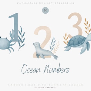 Números de aniversário do oceano clipart PNG - 10 clipart de sublimação PNG - Números de aniversário do oceano em aquarela - Primeiro aniversário fofo - Idade clipart