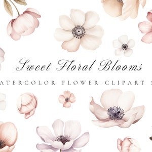 Conjunto de imágenes prediseñadas florales de vivero de acuarela - Flor de acuarela rosa polvorienta - Imágenes prediseñadas florales para invitación a baby shower - Pastel de imágenes prediseñadas de boda moderna
