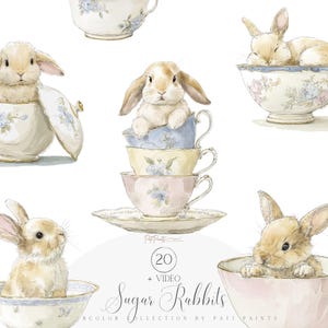 Set di clipart di coniglietti acquerellati, tazza da tè con coniglietto carino 20, animali da asilo nido in colori pastello, arte pasquale primaverile, uso commerciale, 20 PNG trasparenti